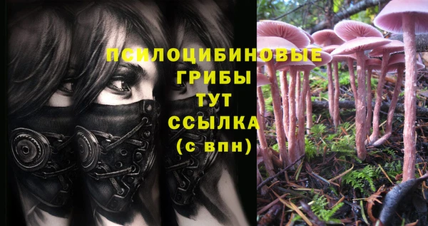 мескалин Белокуриха