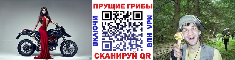 Галлюциногенные грибы ЛСД  Кыштым 